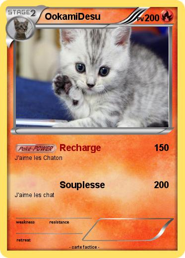 Pokemon OokamiDesu