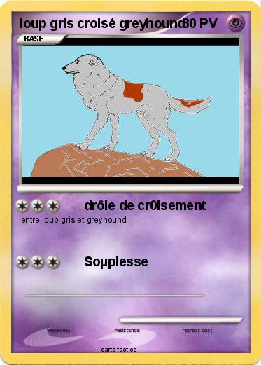 Pokemon loup gris croisé greyhound