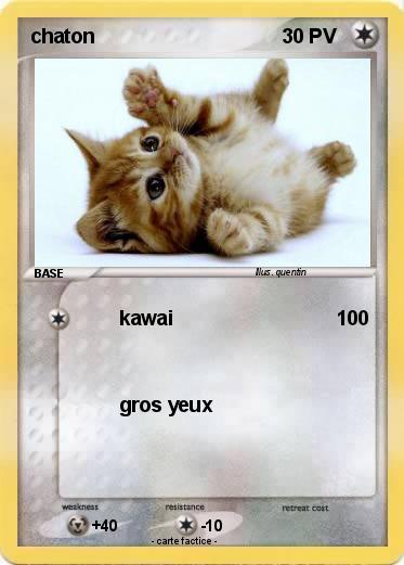 Pokemon chaton