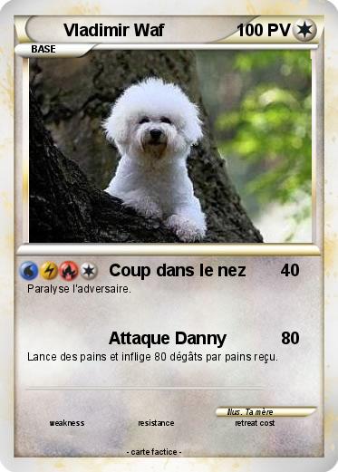 Pokemon Vladimir Waf