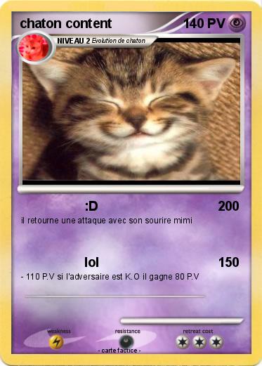 Pokemon chaton content
