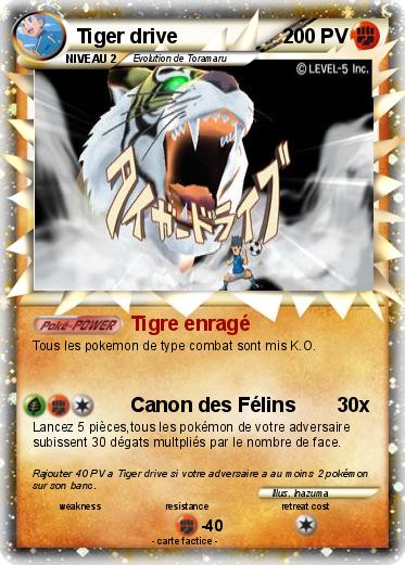 Pokemon Tiger drive