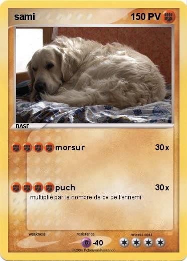 Pokemon sami