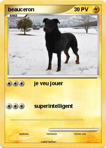 Pokemon beauceron