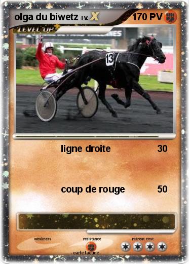 Pokemon olga du biwetz