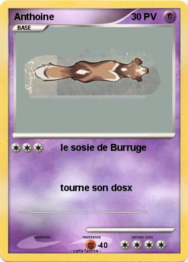 Pokemon Anthoine