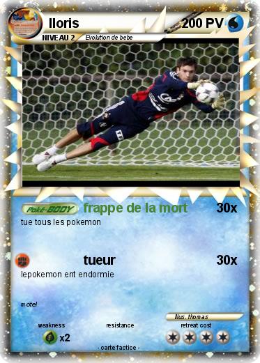 Pokemon lloris