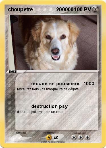Pokemon choupette                200000