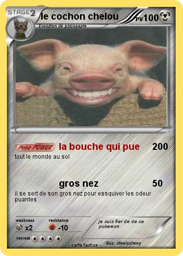 Pokemon le cochon chelou