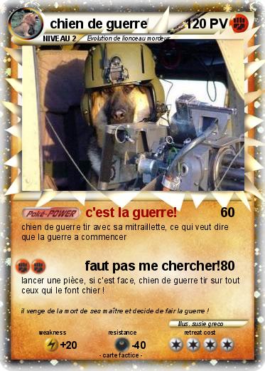Pokemon chien de guerre
