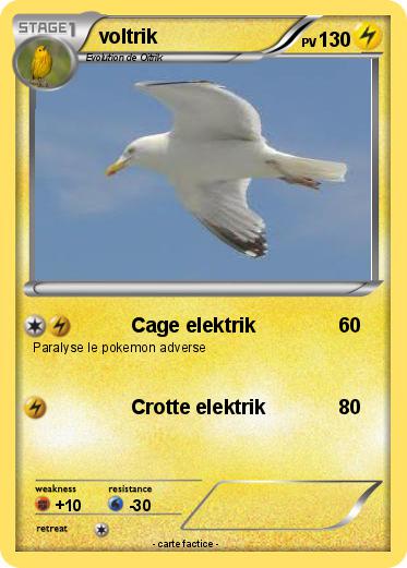 Pokemon voltrik