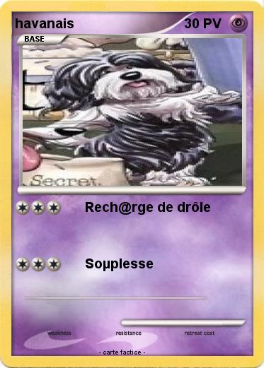 Pokemon havanais