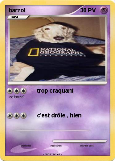 Pokemon barzoi