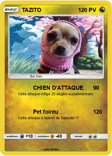 Pokemon TAZITO