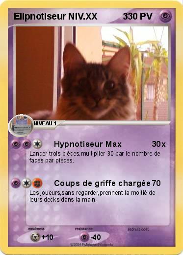 Pokemon Elipnotiseur NIV.XX          3
