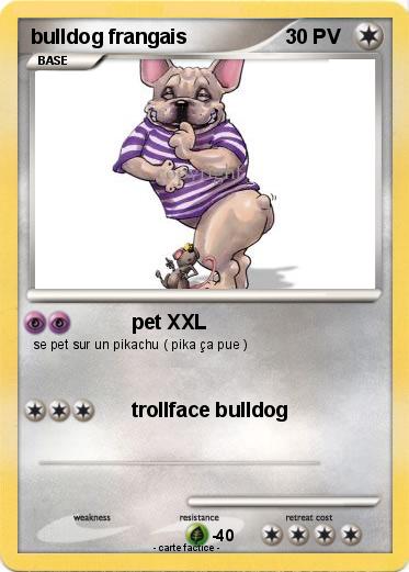 Pokemon bulldog frangais