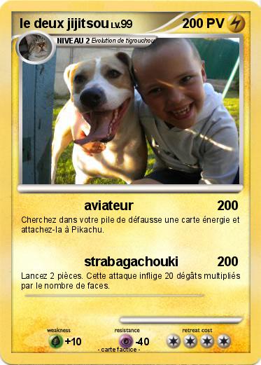 Pokemon le deux jijitsou