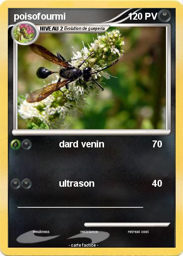 Pokemon poisofourmi