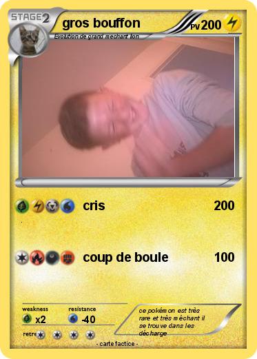 Pokemon gros bouffon