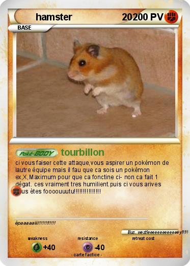 Pokemon hamster                   20