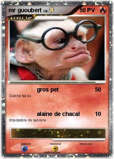 Pokemon mr guoubert