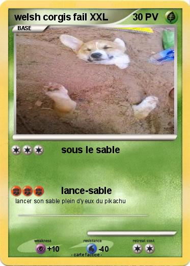Pokemon welsh corgis fail XXL