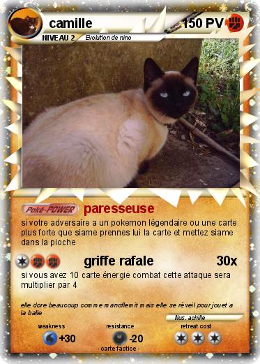 Pokemon camille