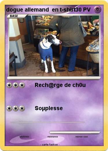Pokemon dogue allemand  en t-shirt