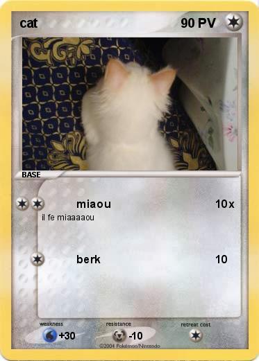 Pokemon cat