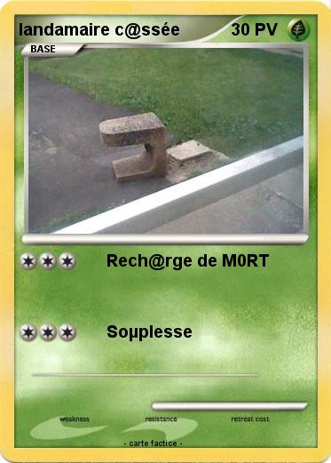 Pokemon landamaire c@ssée