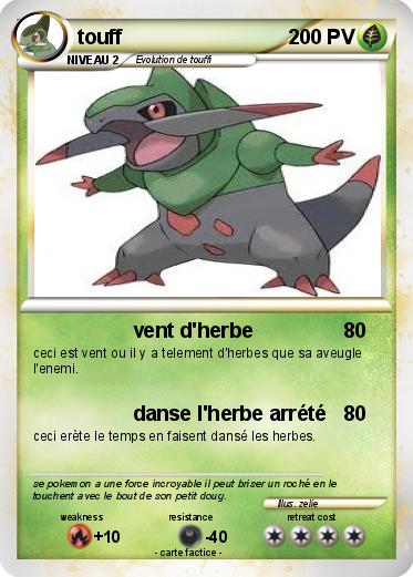 Pokemon touff