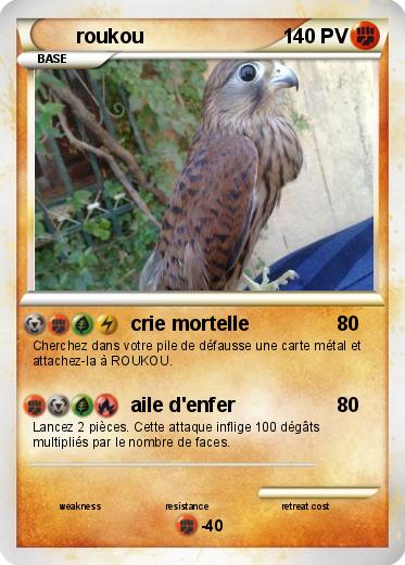 Pokemon roukou