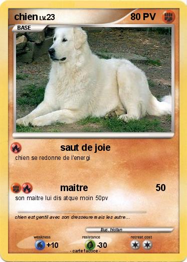 Pokemon chien