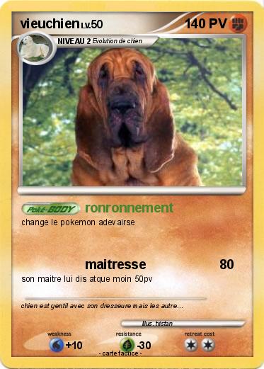Pokemon vieuchien