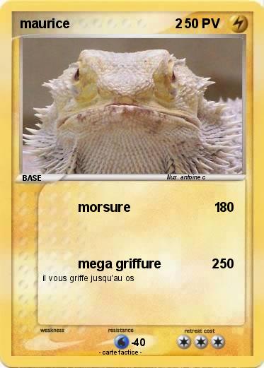 Pokemon maurice                             2
