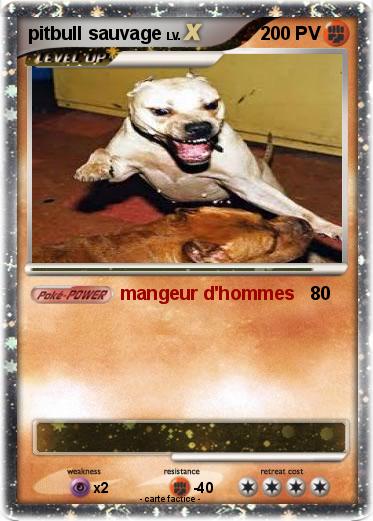Pokemon pitbull sauvage