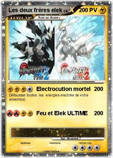 Pokemon Les deux frères elek