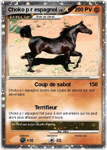 Pokemon Choko p r espagnol