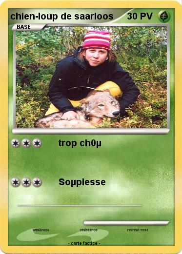 Pokemon chien-loup de saarloos