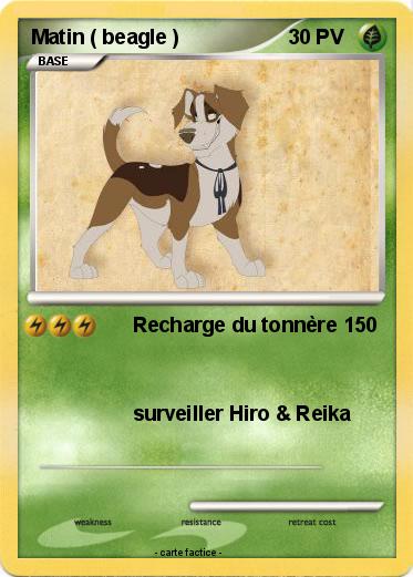Pokemon Matin ( beagle )