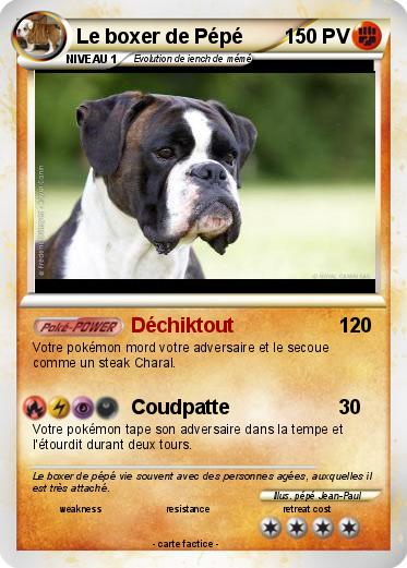 Pokemon Le boxer de Pépé