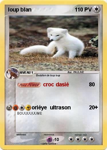 Pokemon loup blan