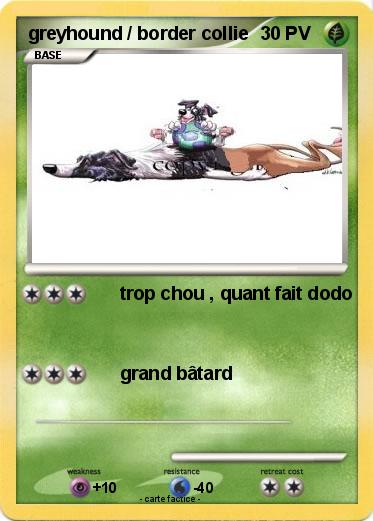 Pokemon greyhound / border collie