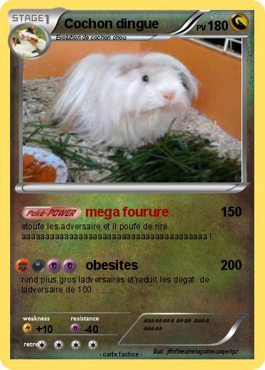 Pokemon Cochon dingue