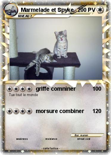 Pokemon Marmelade et Spyke