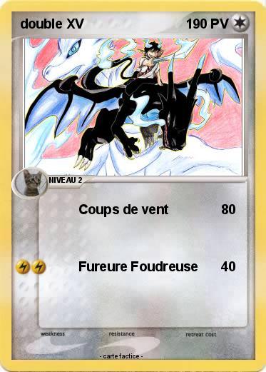 Pokemon double XV