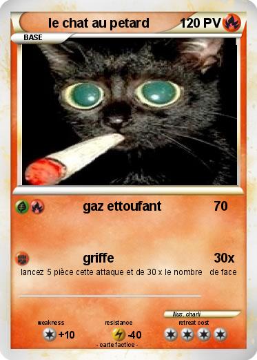 Pokemon le chat au petard