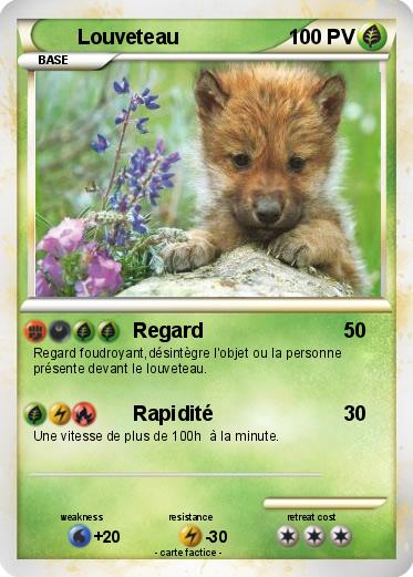 Pokemon Louveteau