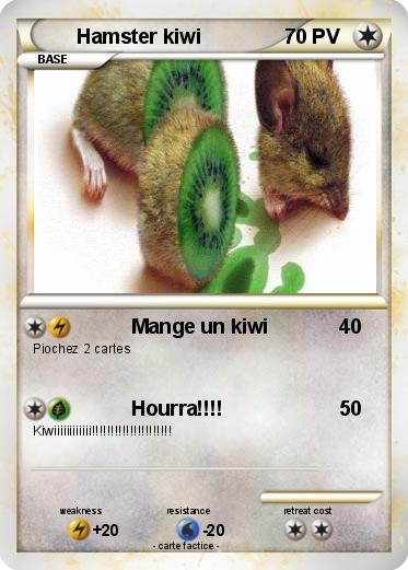Pokemon Hamster kiwi