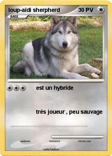 Pokemon loup-aïdi sherpherd